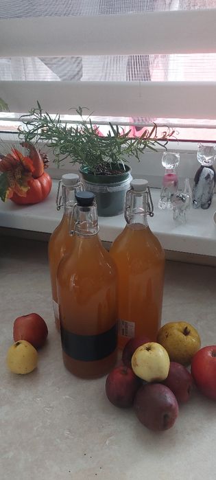 Ocet jabłkowy  żywy