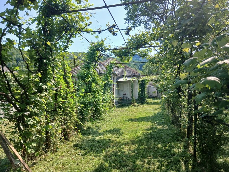 Продаємо ділянку 14 соток зі старим будинком  Солочин Закарпатської області