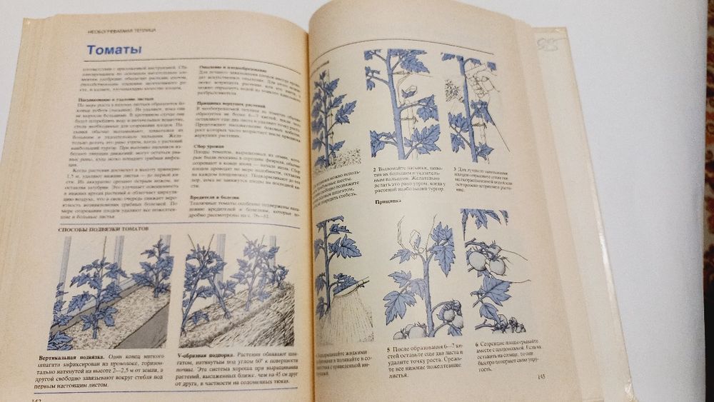 Растения под стеклом 1988г. К.Бекетт