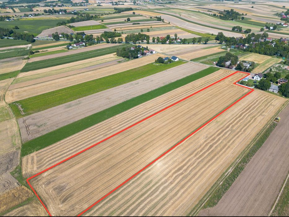 SPRZEDAM działkę budowlaną 20 ar + 1.5 h pole orne Wężerów