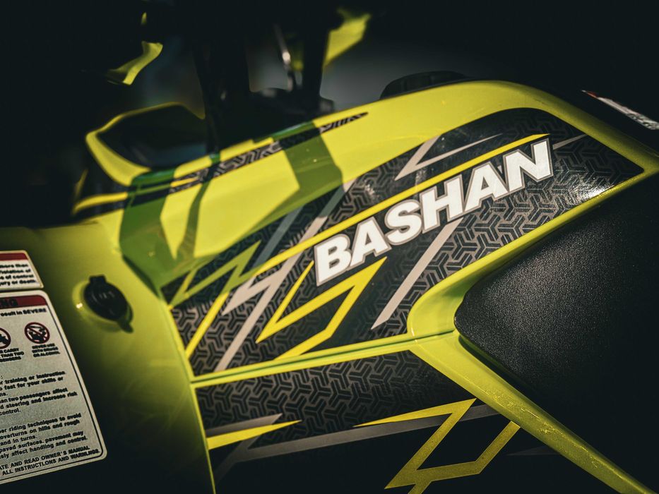 Квадроцикл Bashan Explorer330 EFI4х4 Артмото Суми з документами в МРЕО