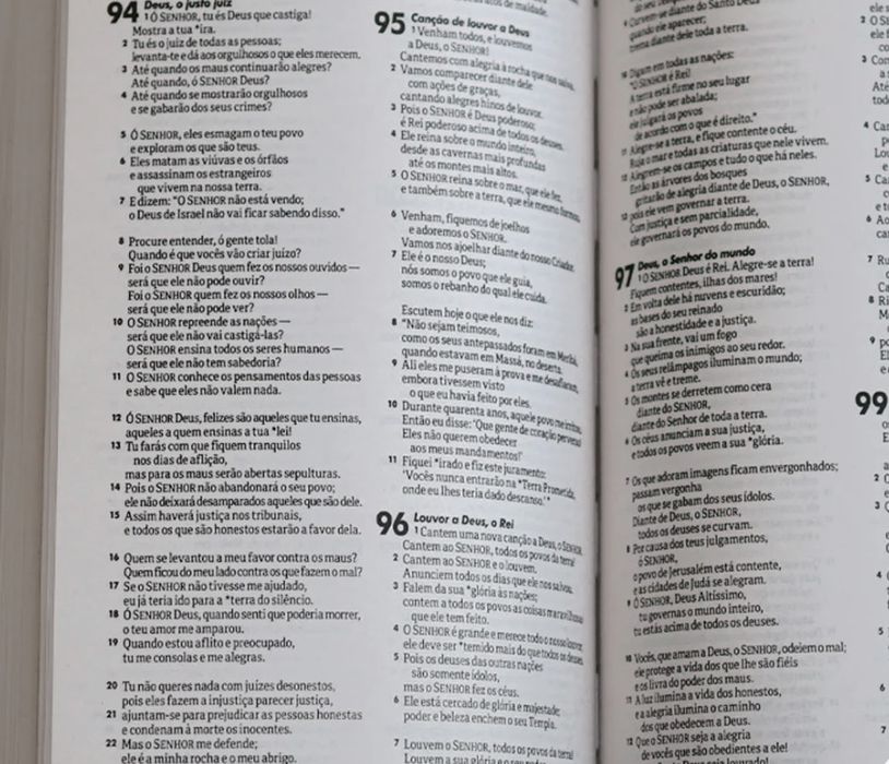 Bíblia Sagrada NOVA | NTLH | Leão do Universo | Brochura