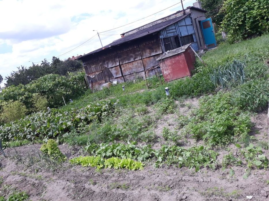 Sprzedam działkę rolną.