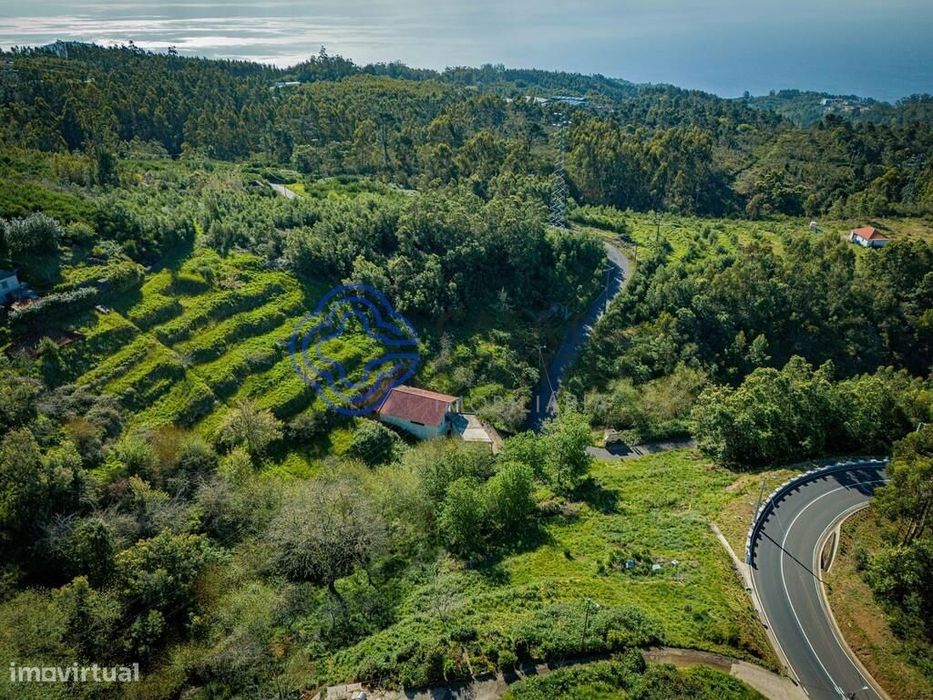 EXCLUSIVO! Terreno com 4.750m2 para construir e cultivar – Camacha