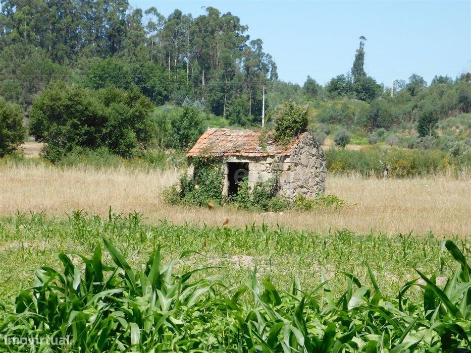 Terreno com ruina / Seia, Pinhanços — Santa Comba, Guarda