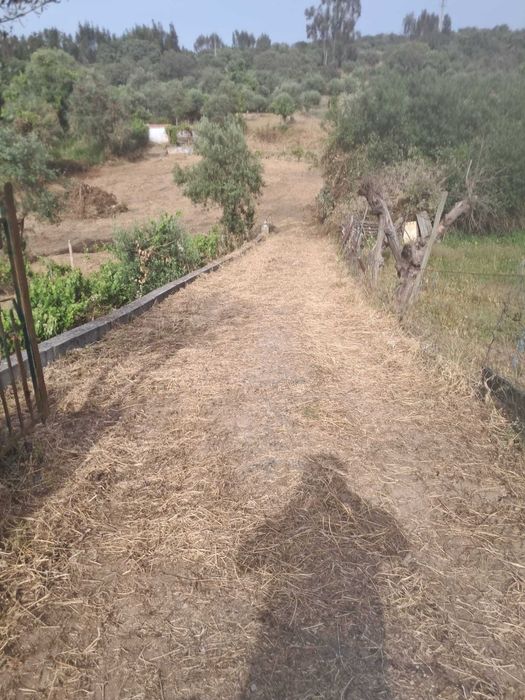 Vende-se terreno/quinta no alentejo a oito km do Crato