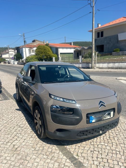 Citrien C4 Cactus