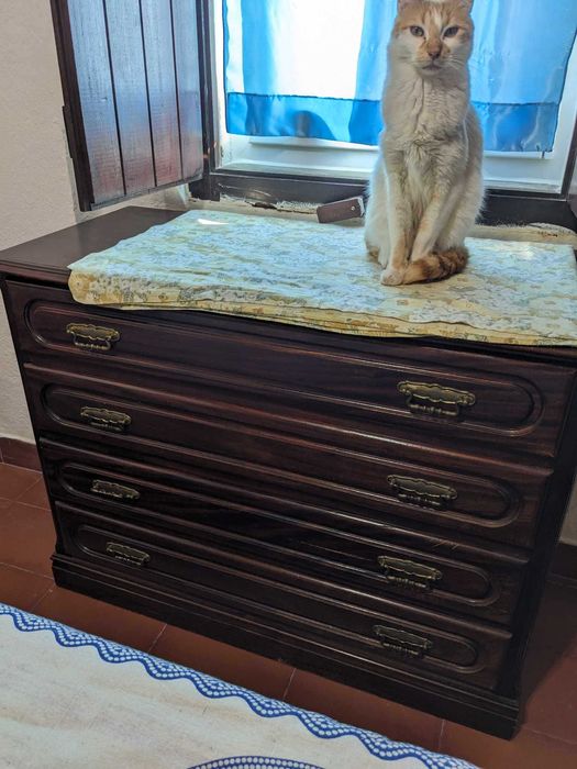 Mobilia de quarto completa