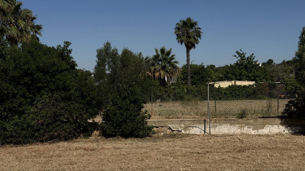 Terreno Rural com Potencial em Olhão