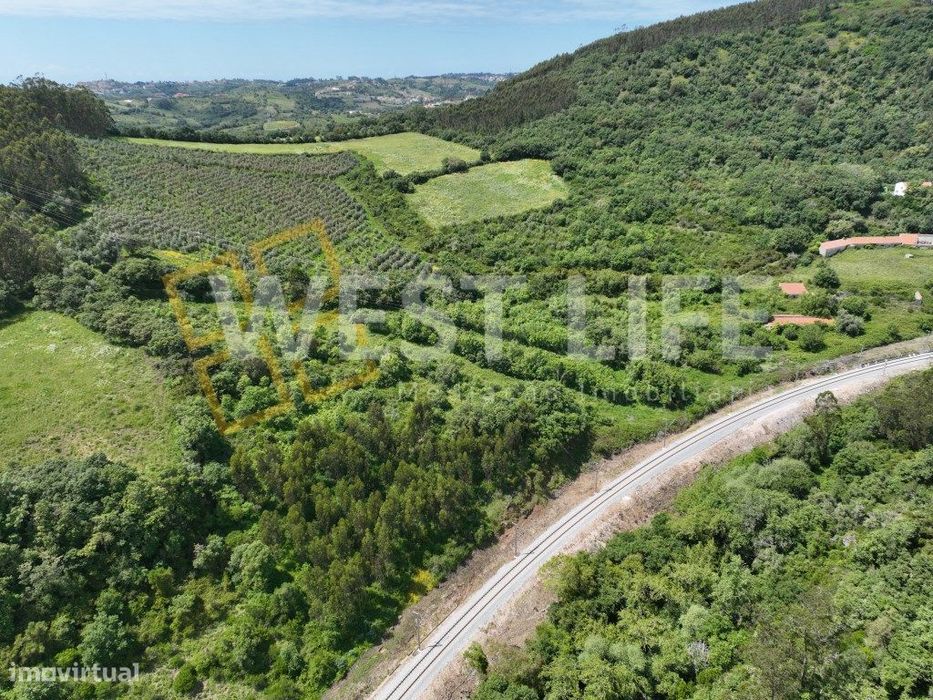 Terreno Rústico com 15560m2 - Natural e Pinhal - EXCLUSIVO WL - Mafra.