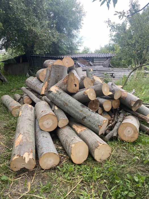 Дрова твердих порід Граб Бук Дуб
