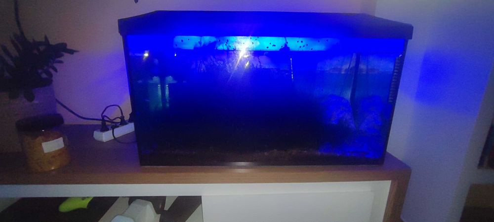 Akwarium akuela 100l
