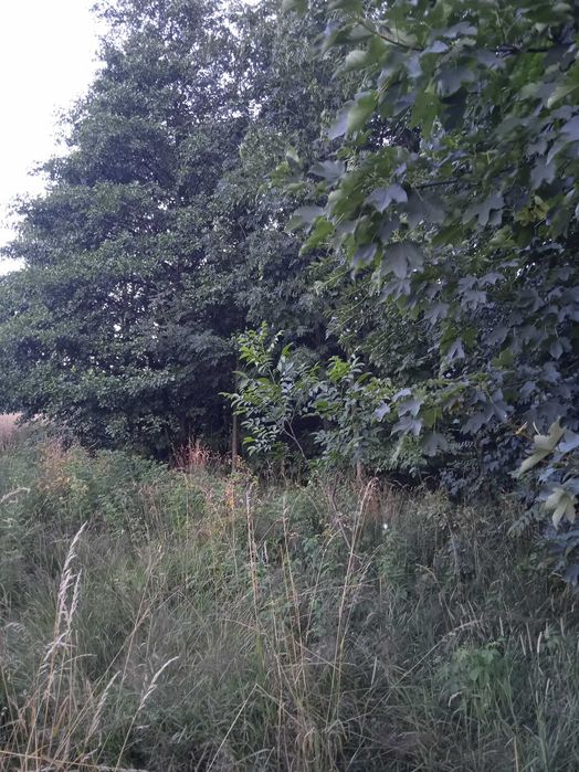 Husów 11 ar powiat łańcucki 4 Kl ziemi między domami 52800