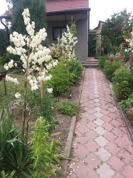 Działka rekreacyjna na sprzedaż Dębica