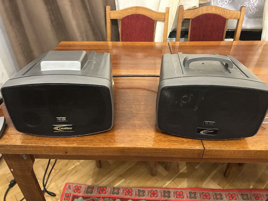Активні колонки акустика Califone PA 300