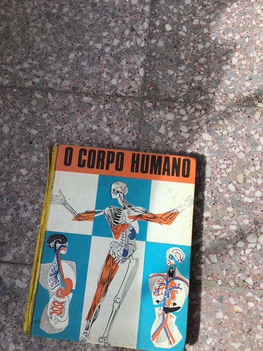 livro o corpo humano
