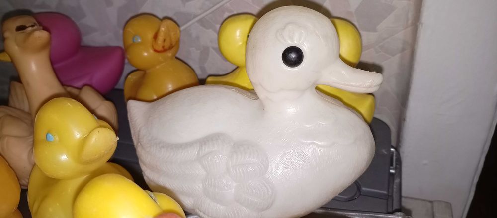 Птицы: Уточки, утки, цыплята, петушок, лебедь из Ссср