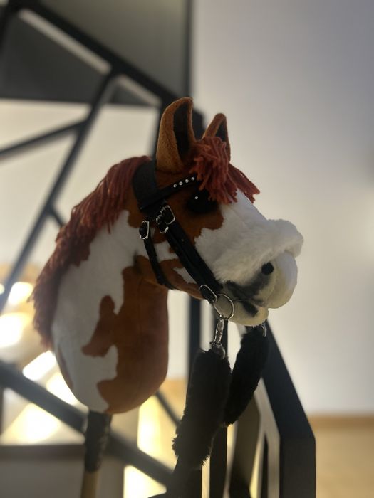 Hobby horse A5 lekki