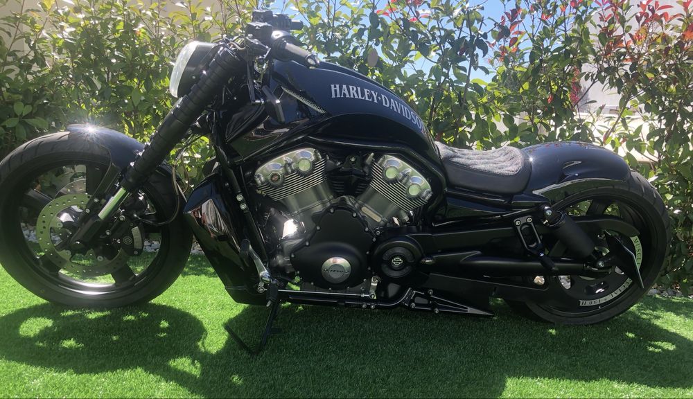 Harley Davison Vrood Muscle