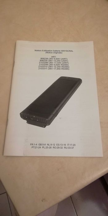 Bateria bicicleta Wayscral