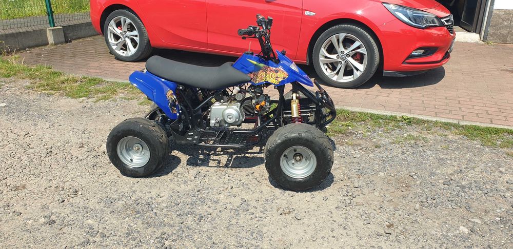 Quad ATV     110cm3