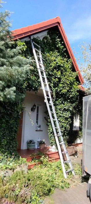 Wycinka drzew ,Koszenie trawy, zakładanie ogrodów, wywóz Wb garden