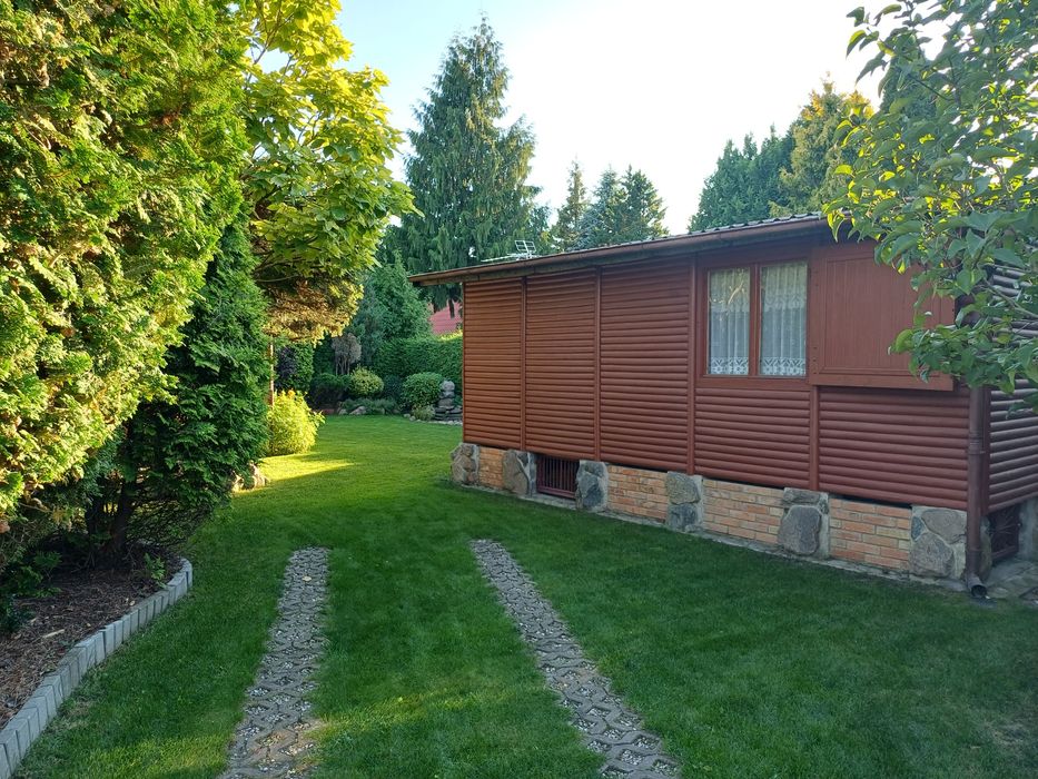 Sprzedaż działka ROD Wudzyn Międzylesie-Zachód