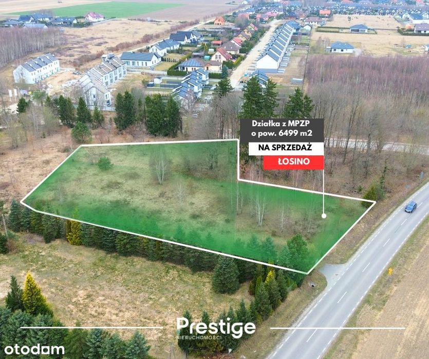 Działka budowlana 6449 m² | Łosino | doskonała lokalizacja