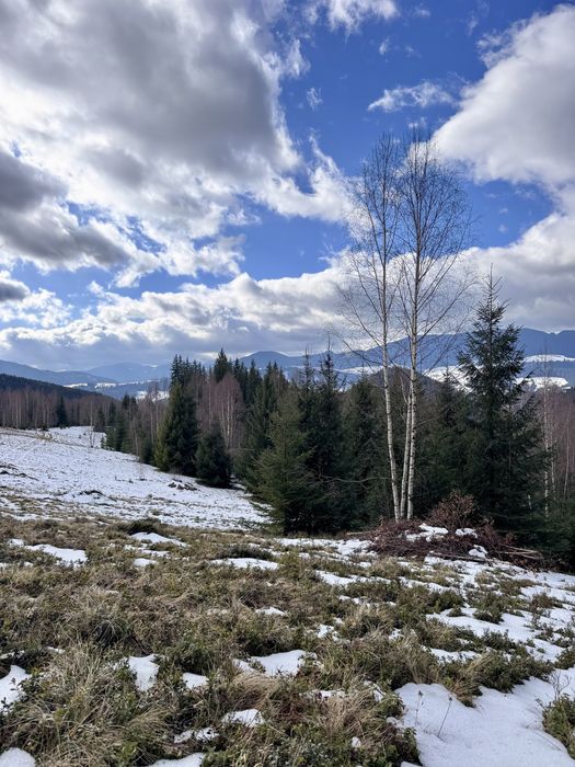 Земля 3,64 га у Карпатах, вид на Чорногірський хребет, під будівництво
