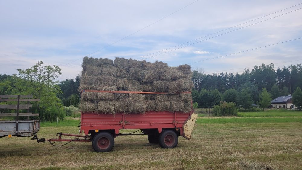 Sprzedam siano w kostkach