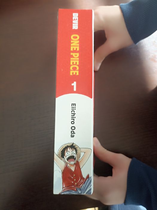 Mangá livro One piece