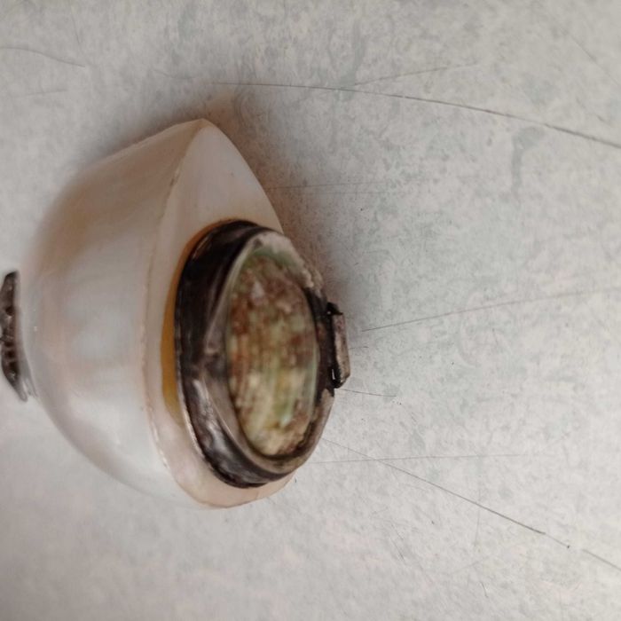 stara tabakiera wykonana z muszli, zdobiona, kobieca, VINTAGE!