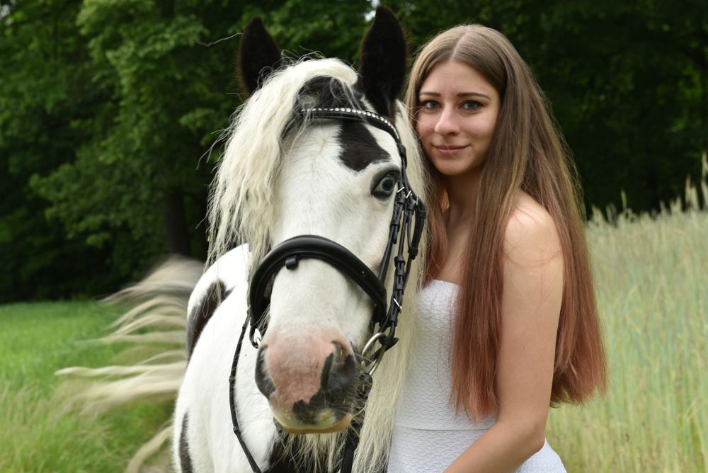 Konie do sesji zdjęciowych