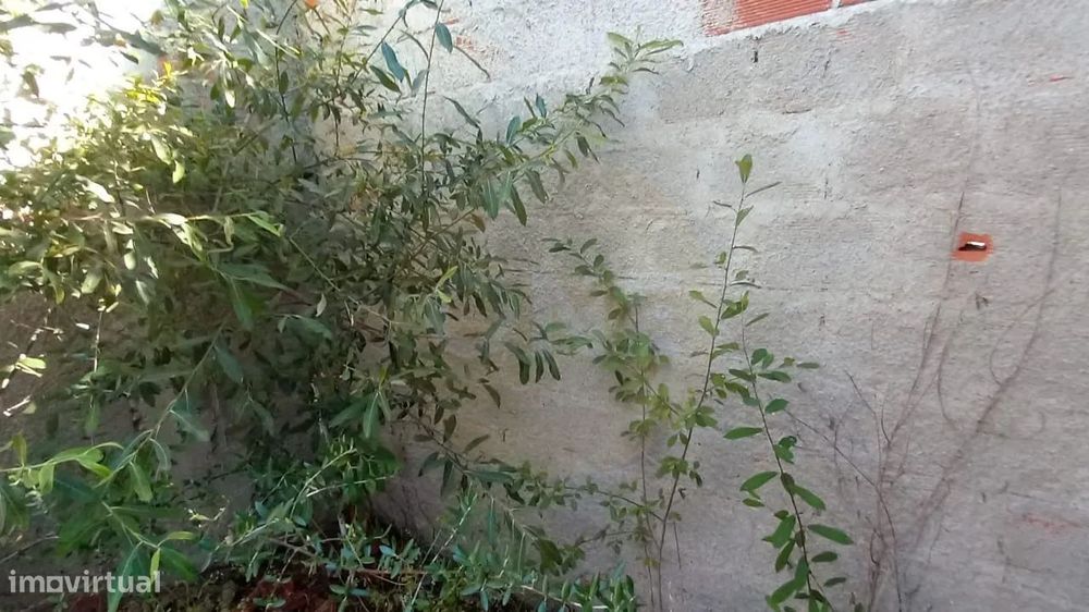 Quinta | 2.048 m² | Para recuperação total | Constância