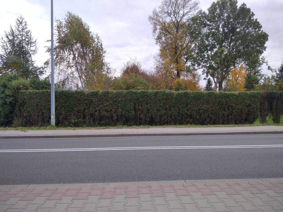 Koszenie/Wycinka drzew/Przycinanie żywopłotów/Pielęgnacja ogrodów
