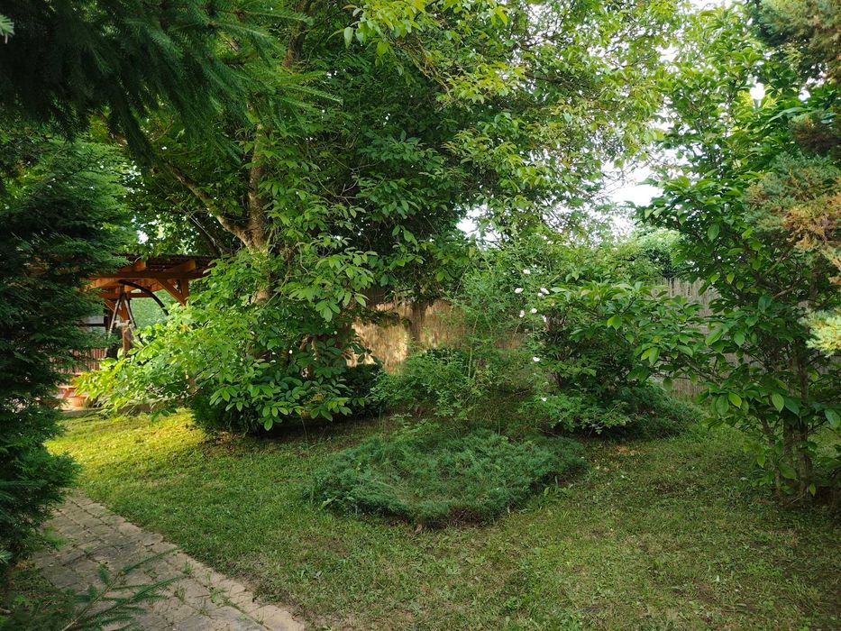Sprzedam 2 działki ROD Dury - Morąg - View 5
