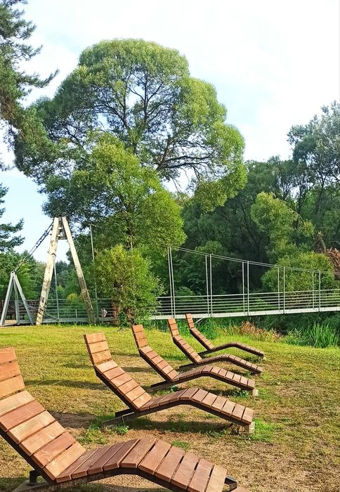 Hortensja domek do wynajęcia