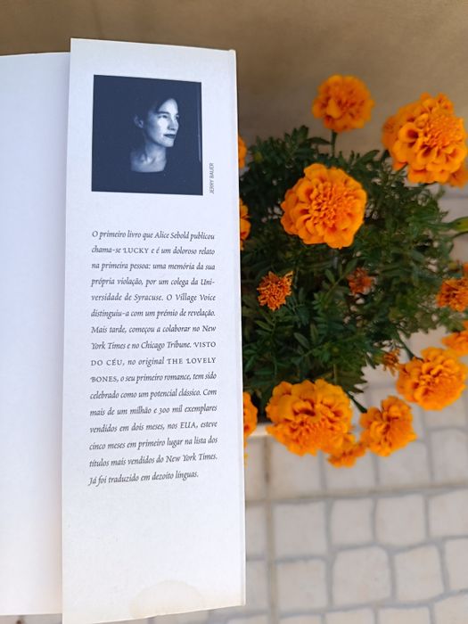 Visto do Céu - Alice Sebold