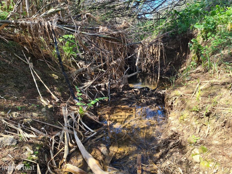 Herdade de 60,7 hectares a poucos minutos de Aljustrel