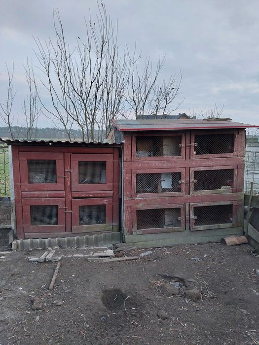 Klatka ba króliki, króliczok