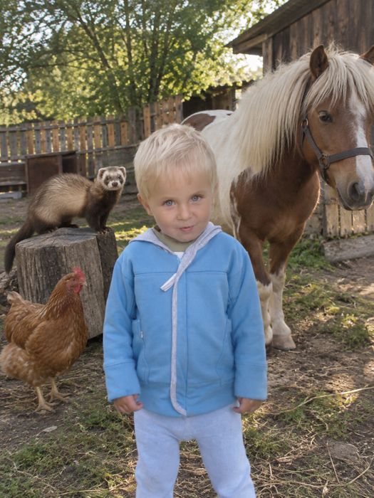 Цифрова фотосесія вашої дитини з улюбленими тваринками