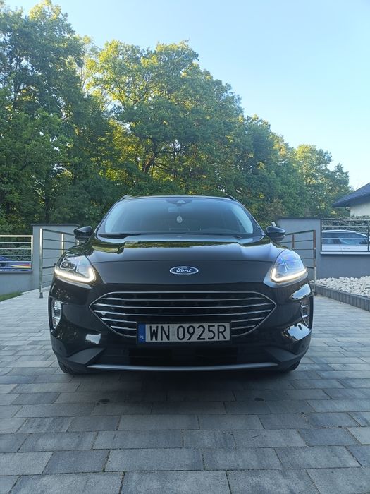 Ford Kuga Krajowy