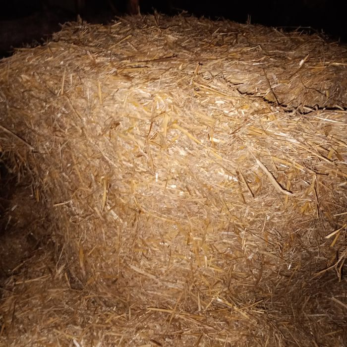 Sprzedam słomę owiniętą po 100 zł