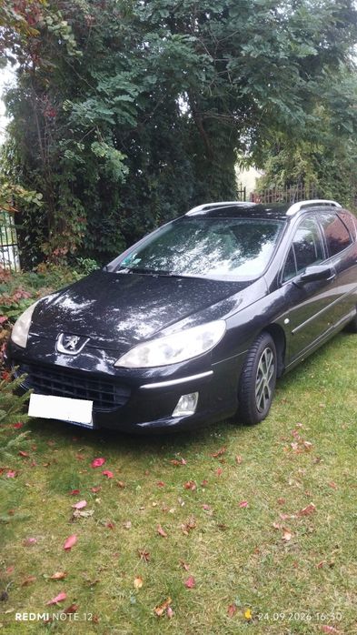 Peugeot 407
