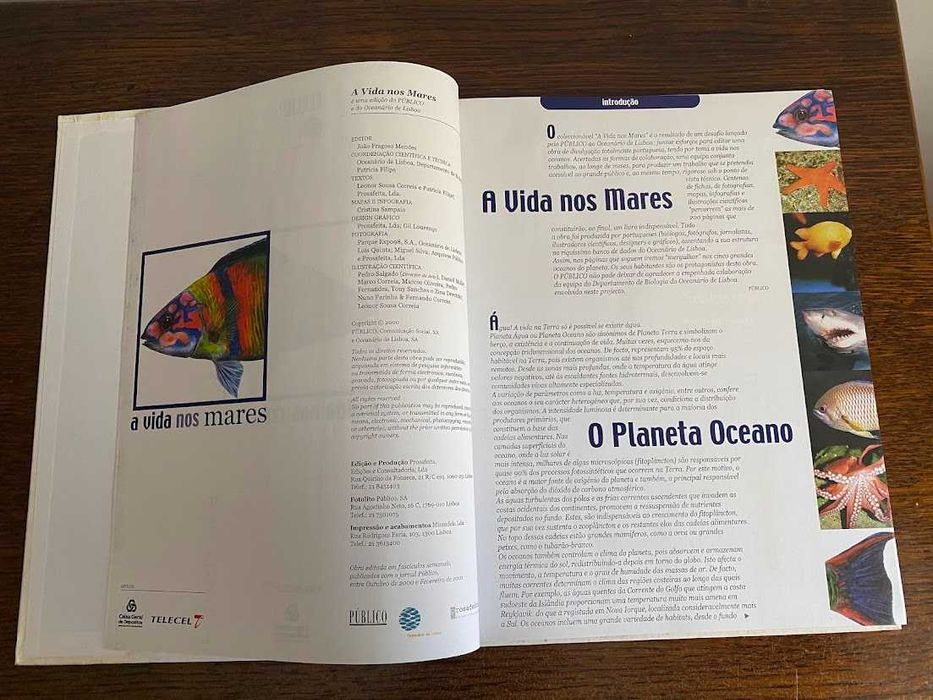 A Vida nos Mares – Uma visita guiada ao mundo submarino