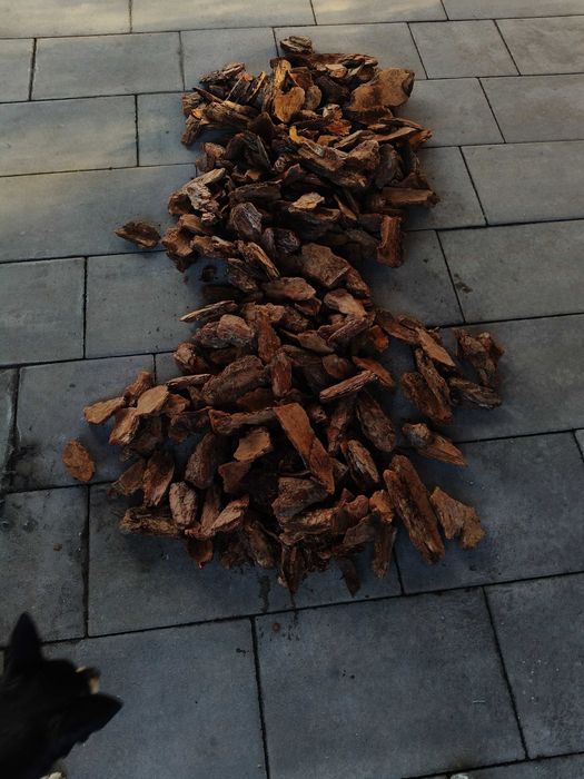 Kora sosnowa gruba ,Dekoracyjna