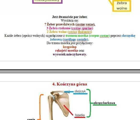 Notatki dla Technik Masażysta z Fizjoterapia Sportowa