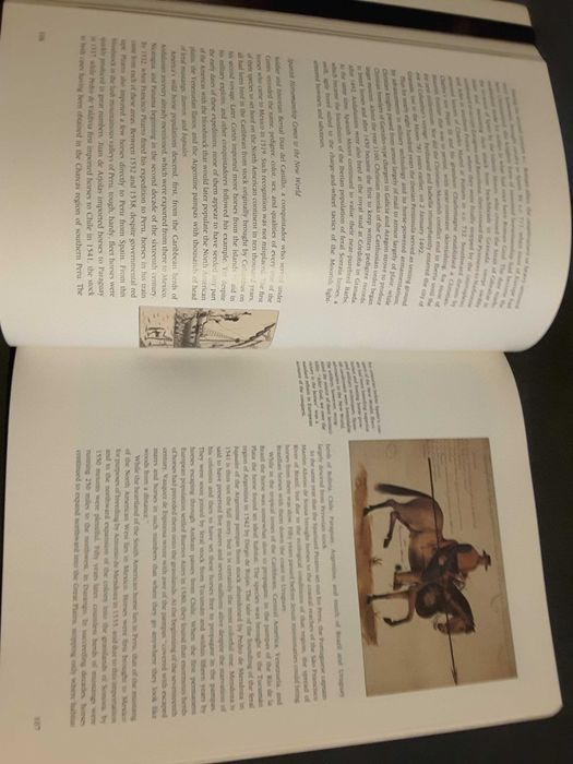 500 Years Since Colombus / África Oriental no Tempo de Pombal