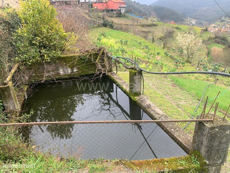 Terreno / Baião, Teixeira e Teixeiró