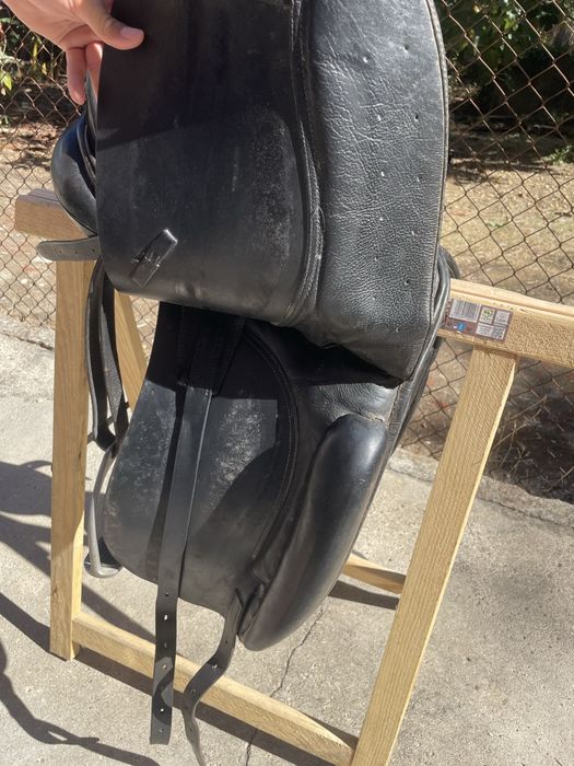 Sela Lexhis KLL Dressage